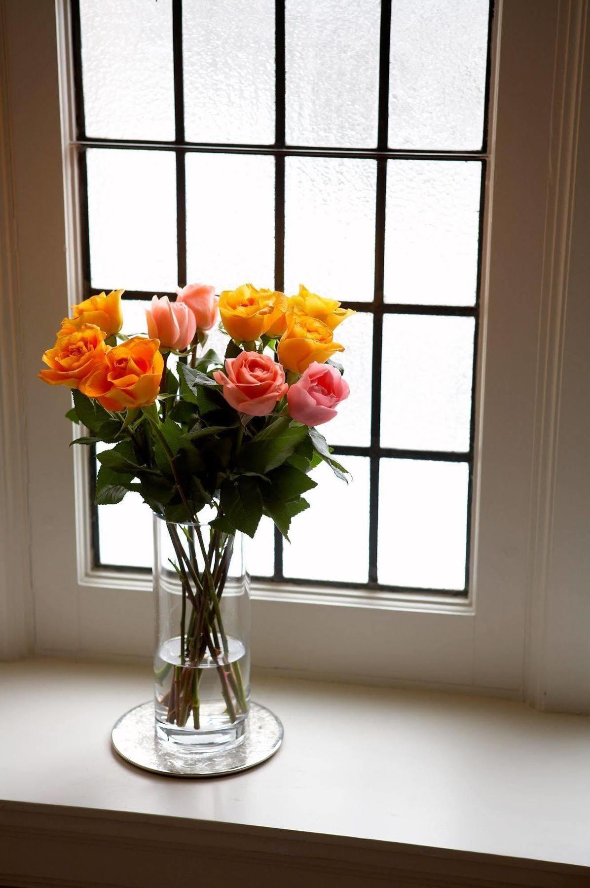 Springbank House Inn Saint Catharines Bagian luar foto
